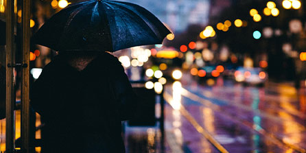 Kaiyun APP-49人连胜延续，球迷高呼“超级碗见”——记录背后的激情与未来的无限可能